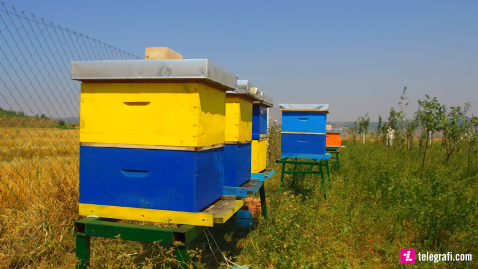 68438770 385410212176788 7473064853897216000 n