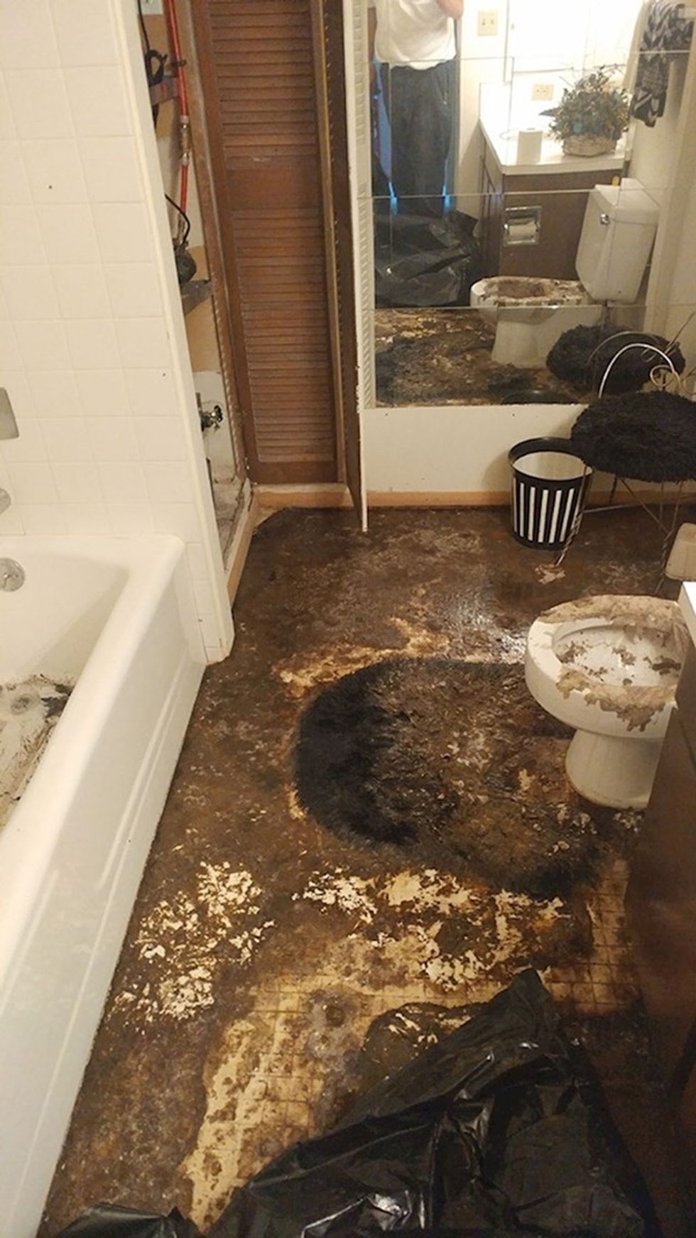 687e6524 8267 4929 afca e7fde9e6b1b4