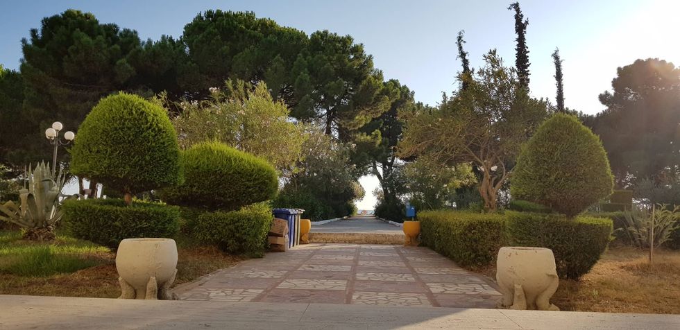 69078710 908355756211724 3085359962617020416 n