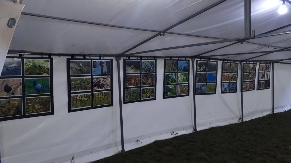 69285148 2482441551975733 1158105616032464896 n