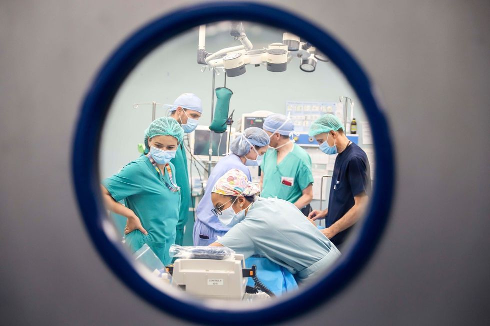 69389261 606485109883516 2314964888390205440 n