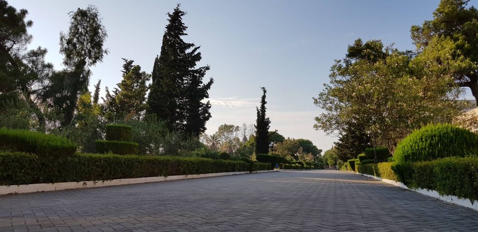 69429463 2257398857924296 3516156688623206400 n