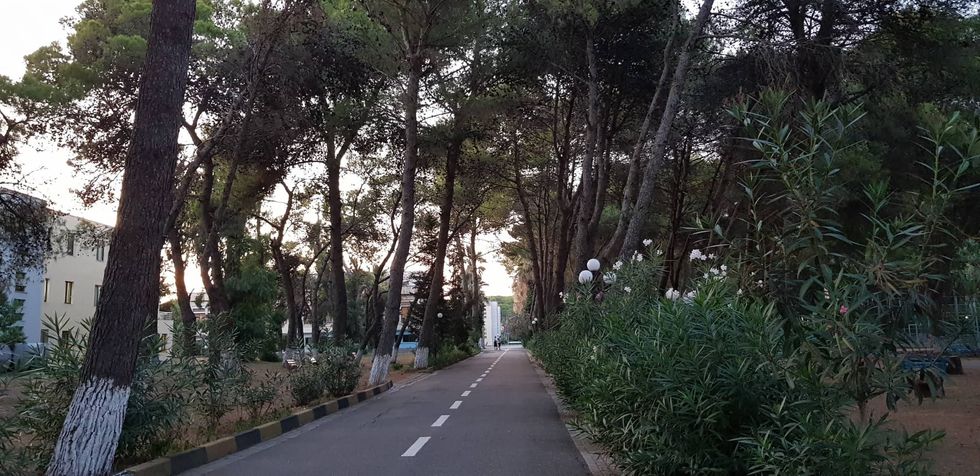 69453492 444126282861366 2206688268936806400 n