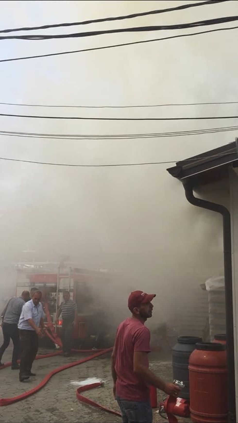 69537162 892970511061769 7708439910805405696 n