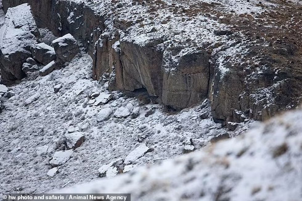 69540101 0 image a 140 168076791