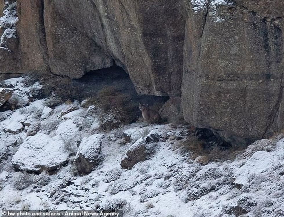 69540105 0 image a 143 1680767938755