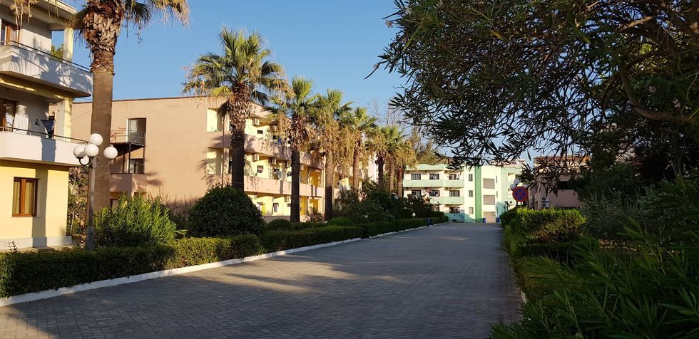 69591060 2350067548376328 3052586317016727552 n