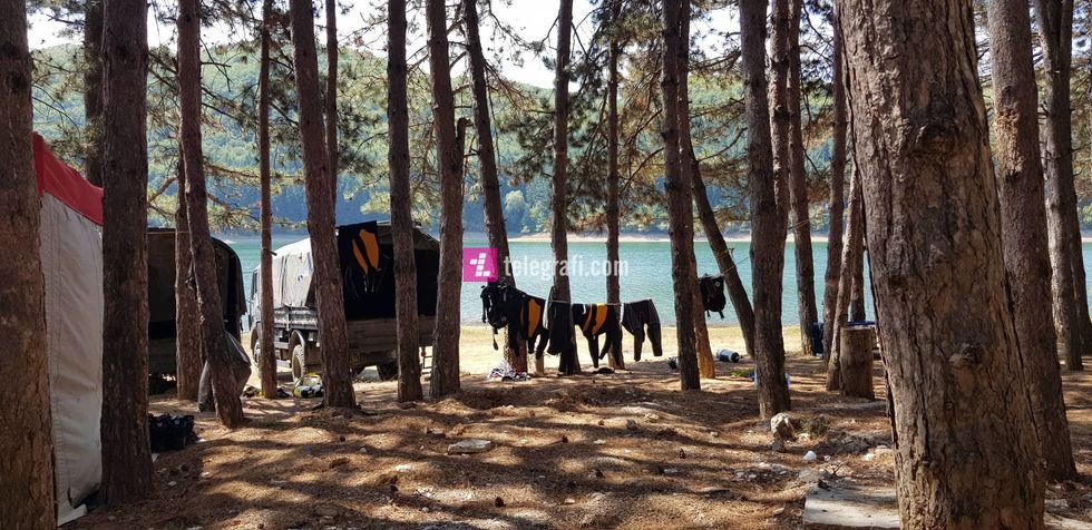 69609499 623429741397827 7838631407613116416 n 1 1