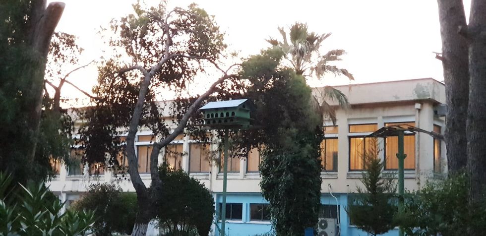 69765955 2568286386557471 4692357177967378432 n