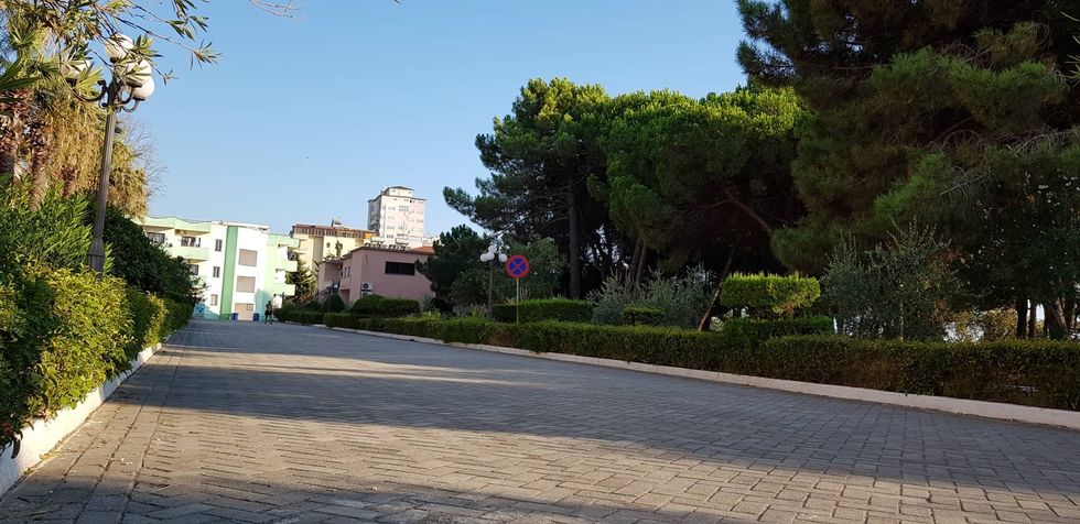 69771024 2887945868096273 6129252612991614976 n