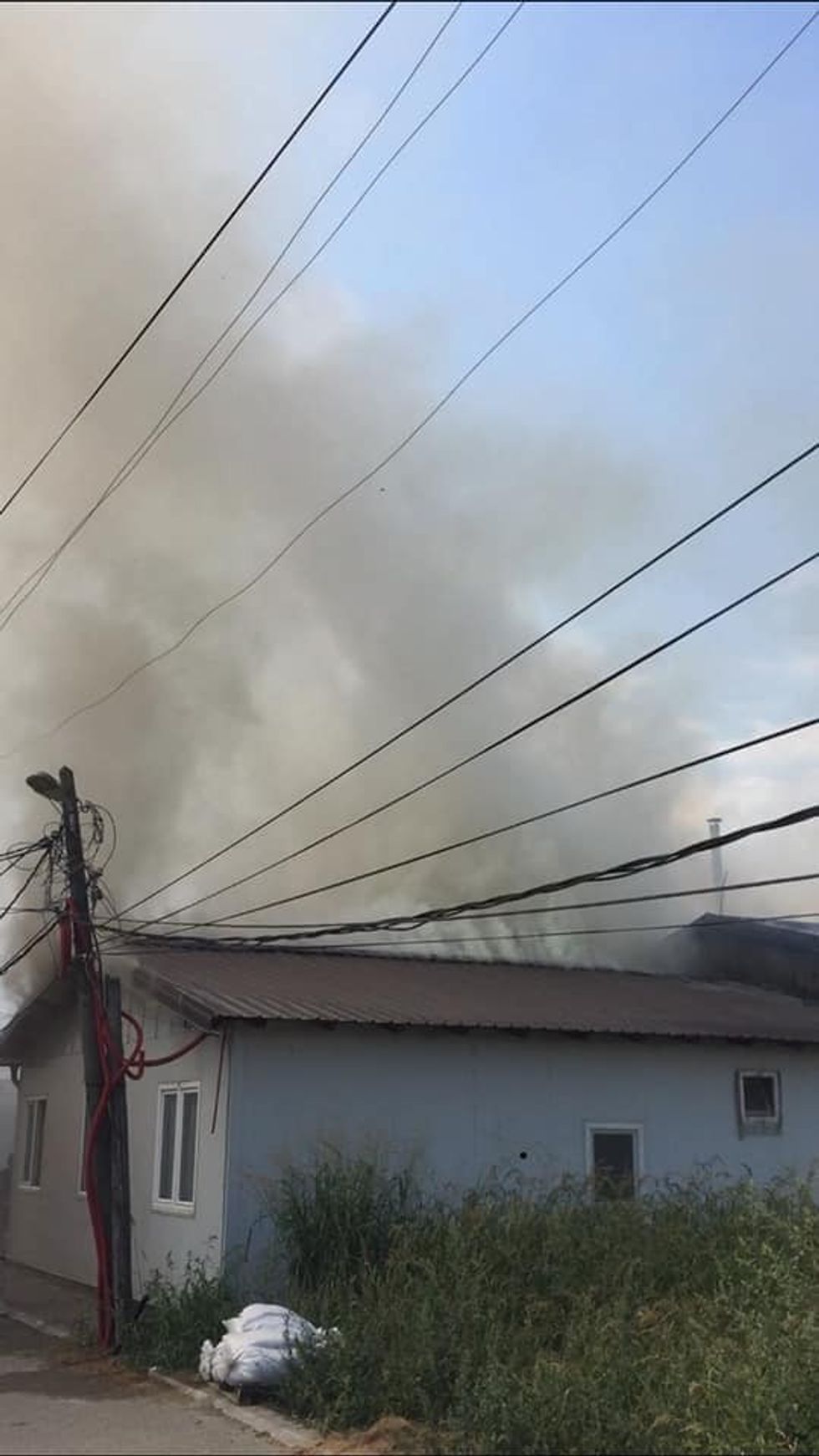 69885099 892970531061767 1488871080541028352 n