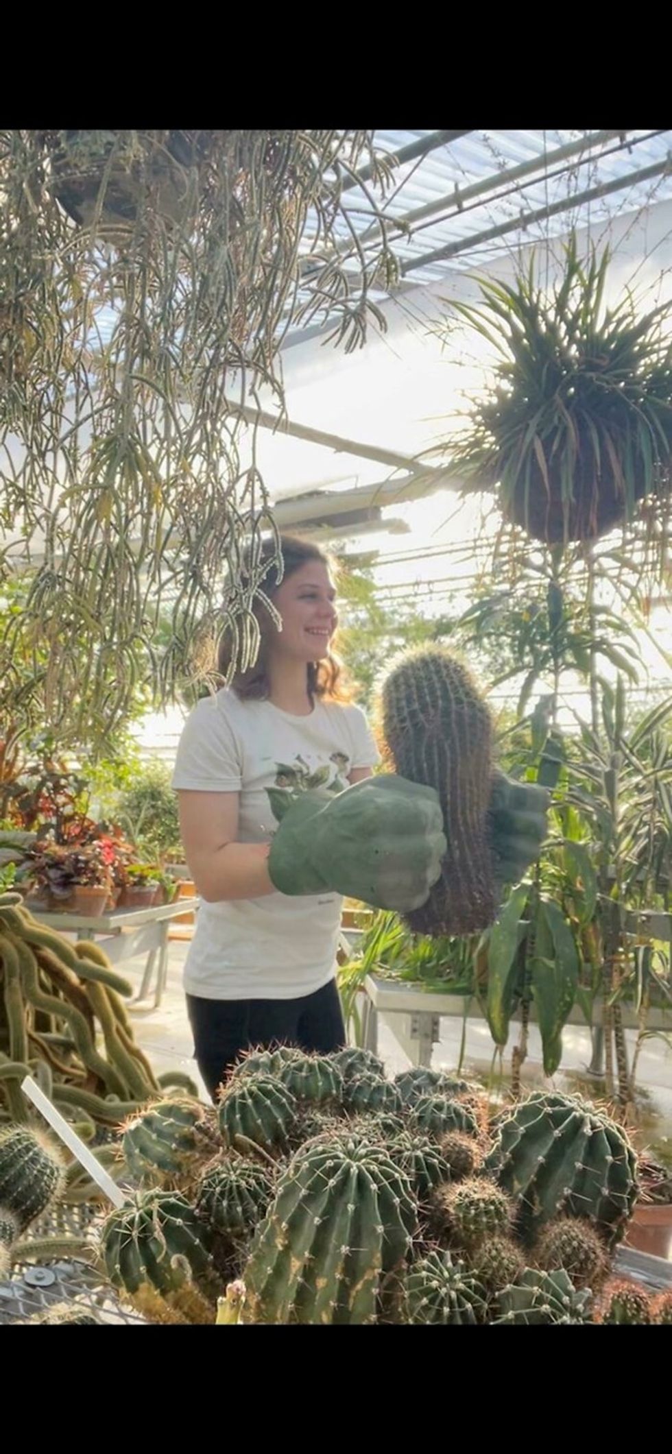 6c5b202a 7968 4f9d bec8 541a1f1b80d0