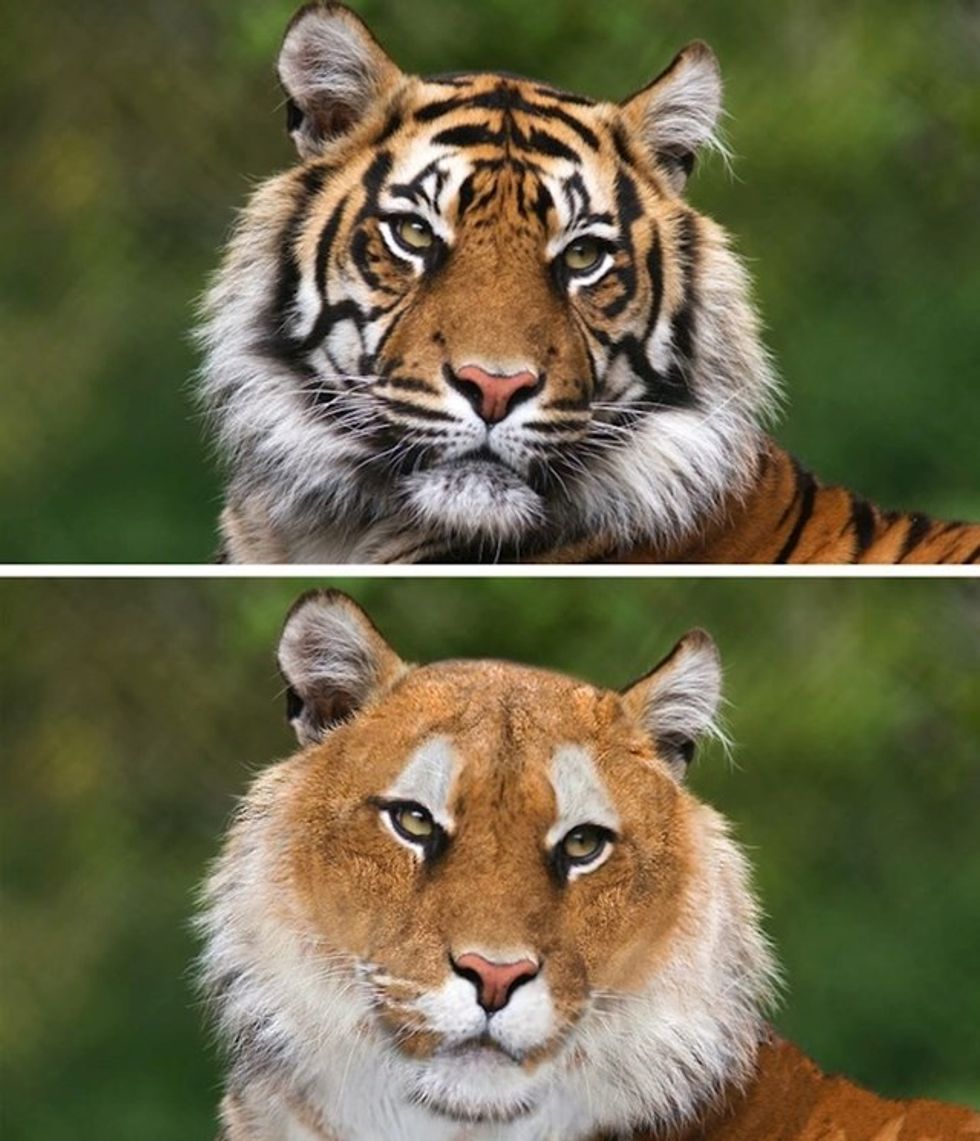 6cdb72ef 7461 48a5 8d67 fc6adcc82137