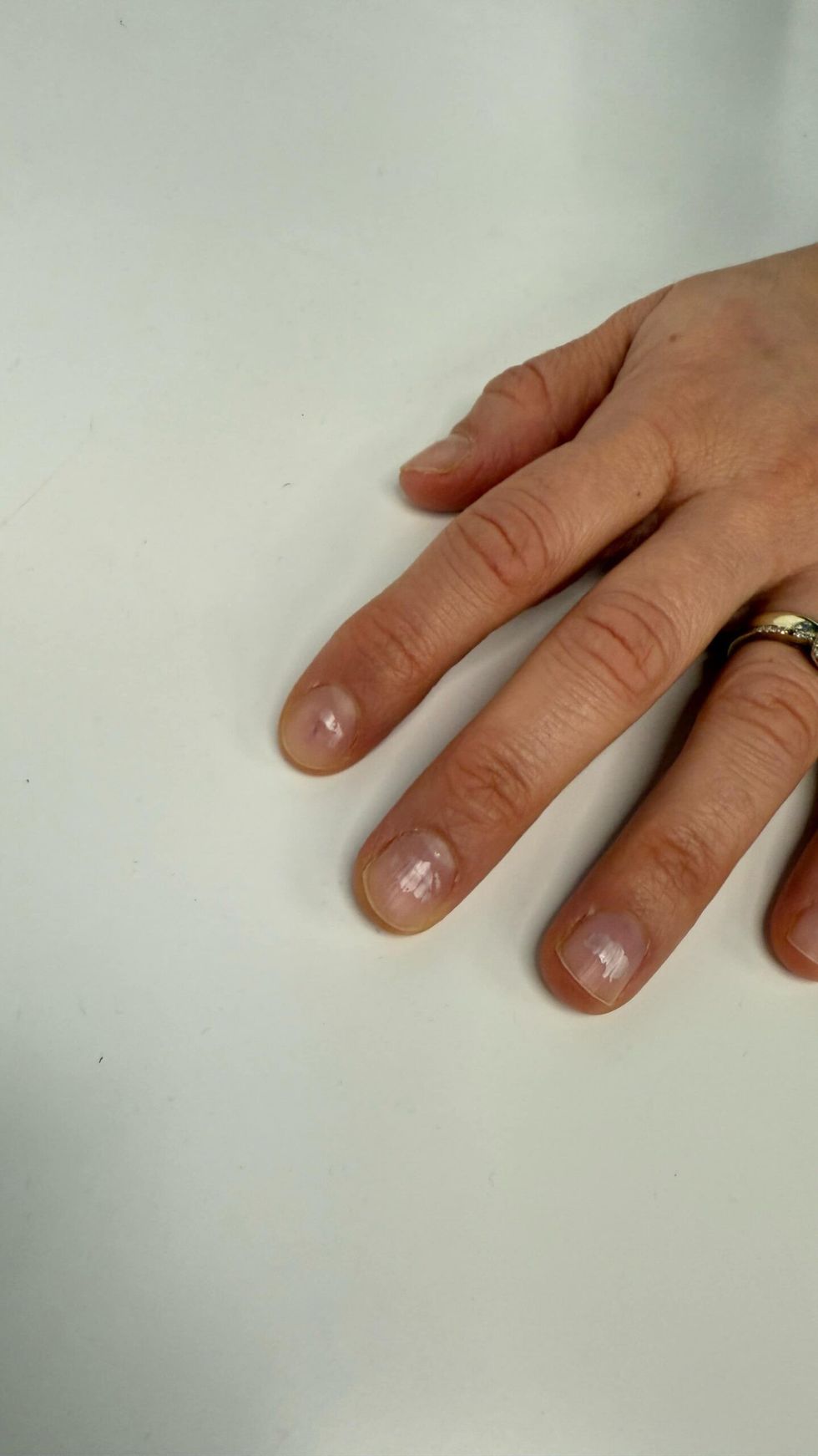 6fe911bc 461a 4718 b604 982c01e6188d scaled