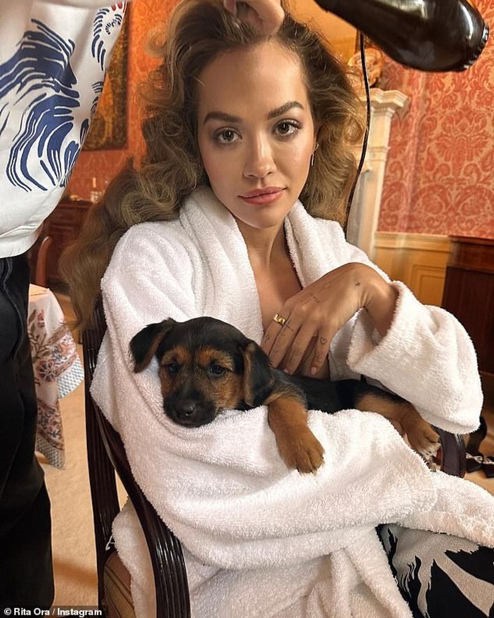 70205313 12011139 image a 19 1682420857956