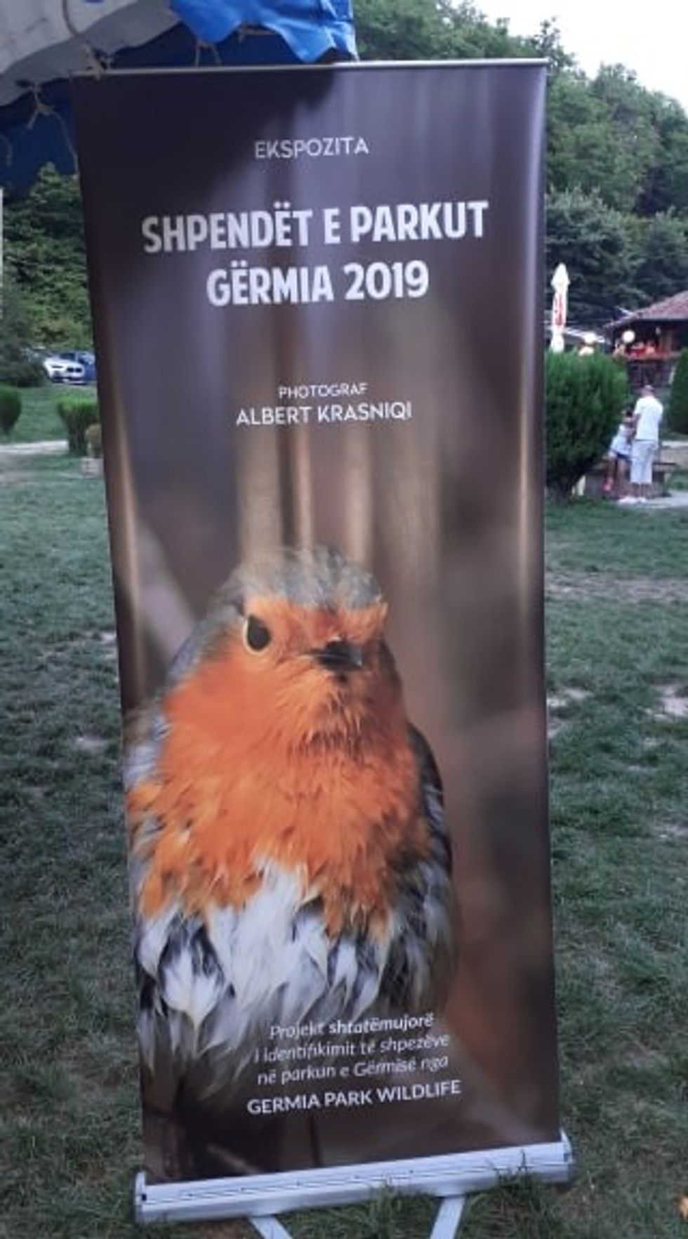 70357508 1535118296630018 555169740423692288 n