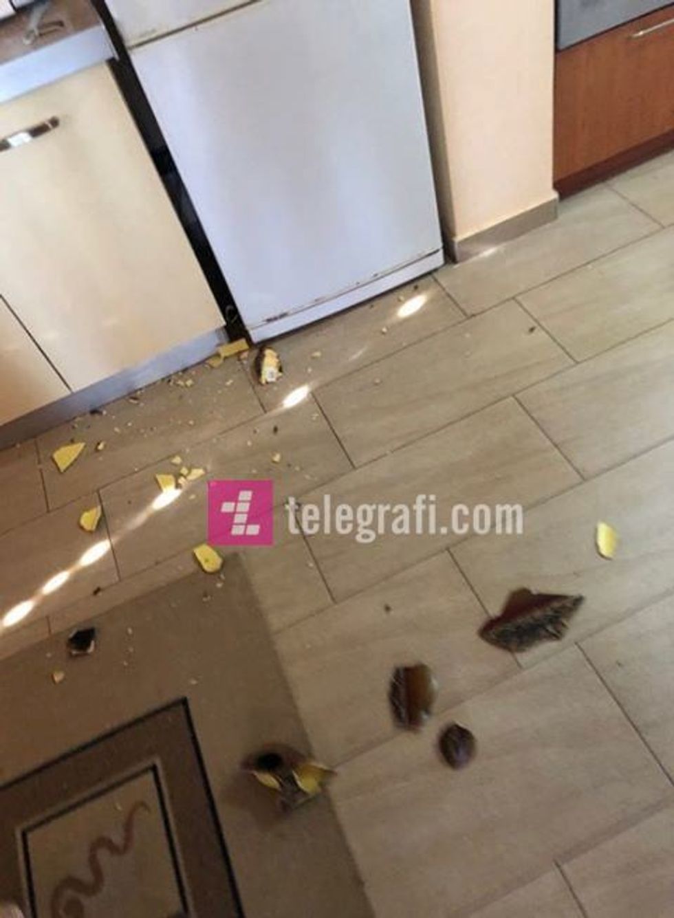 71003859 2760552164003622 3800011579727020032 n