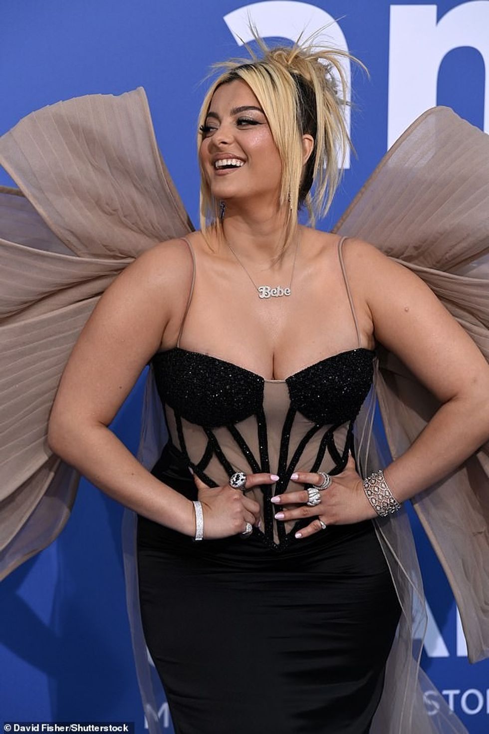 71415491 12125299 image a 4 1685037228939