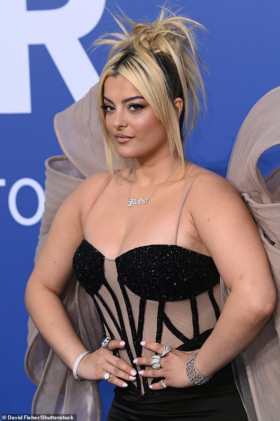 71415493 12125299 image a 6 1685037280886