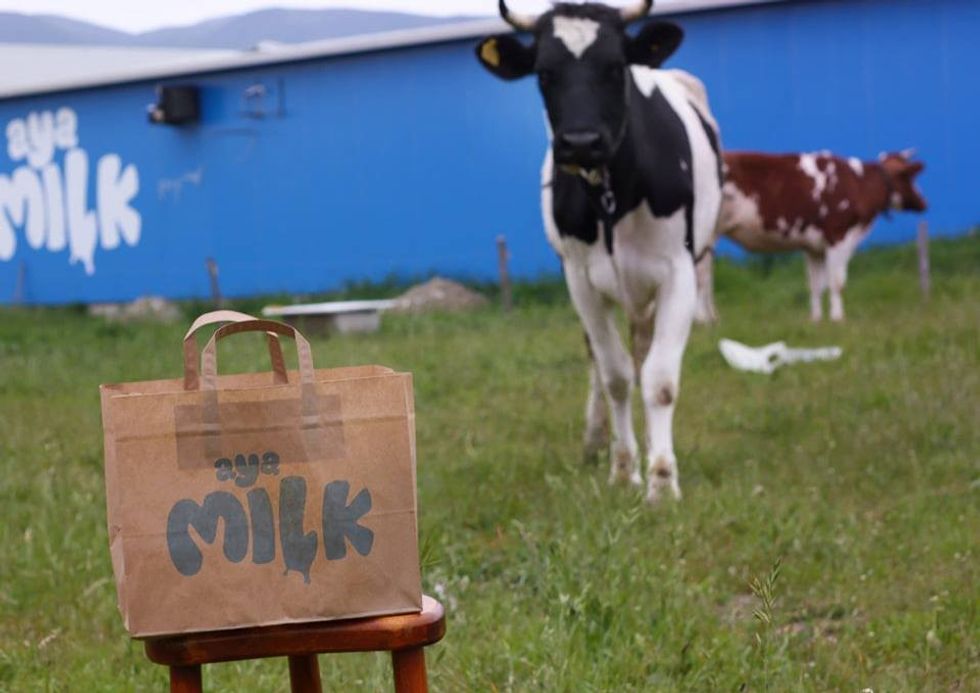 72178732 437025793665556 34043860703248384 n