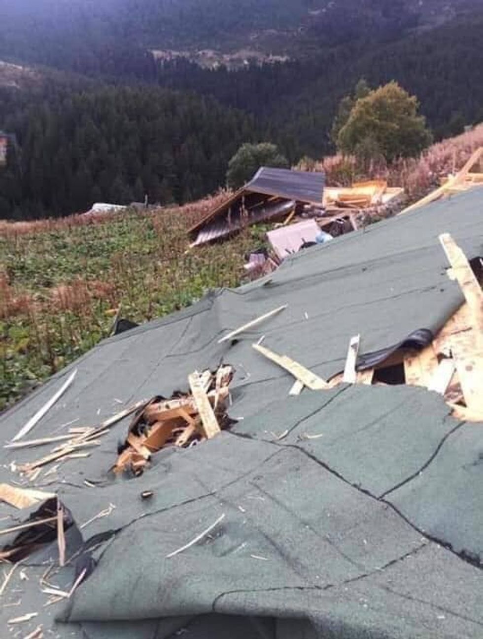 72245553 1282816165258662 3720286622957174784 n