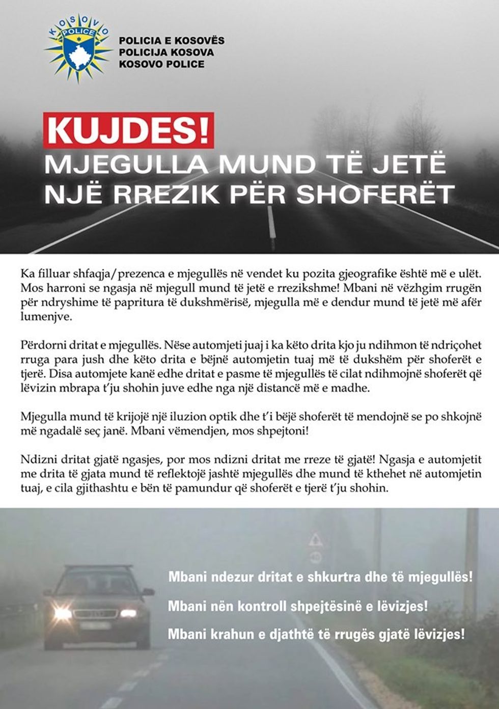 72653353 2622816824445504 6149189391618146304 n