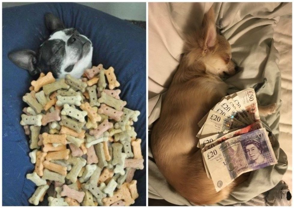 7295660-collage1-1477311915-650-d19b8550e9-1477408572