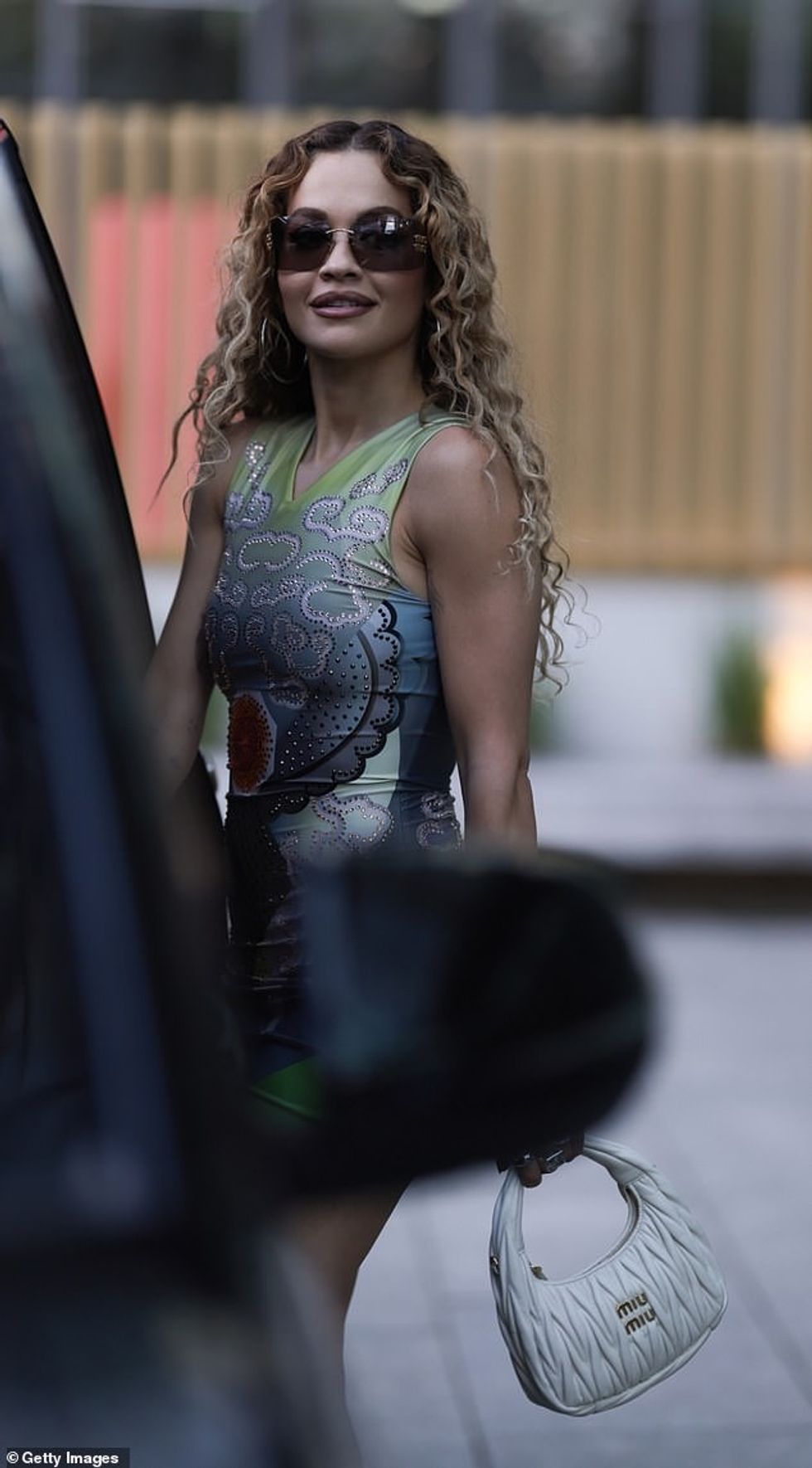 73064699 12285029 Designer arm candy The fashion fan accessorised with a white Wan a 4 1689069251289