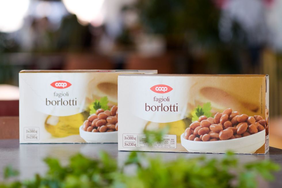 74352881 414009972864399 7132214844832350208 n