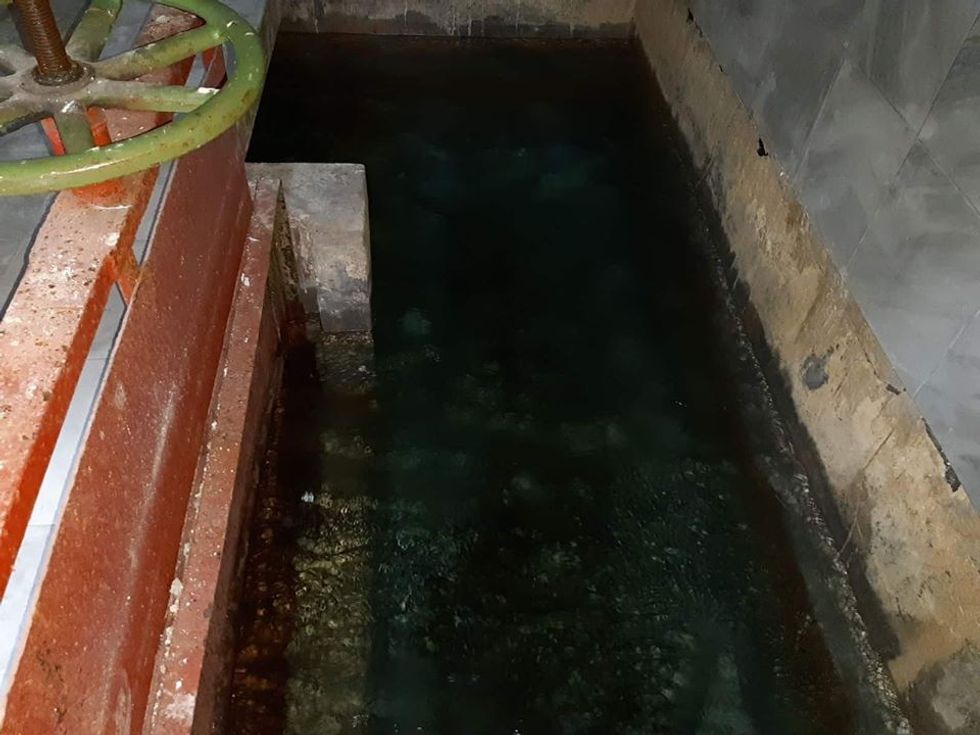 74532297 2413483142255301 4303475458709651456 o