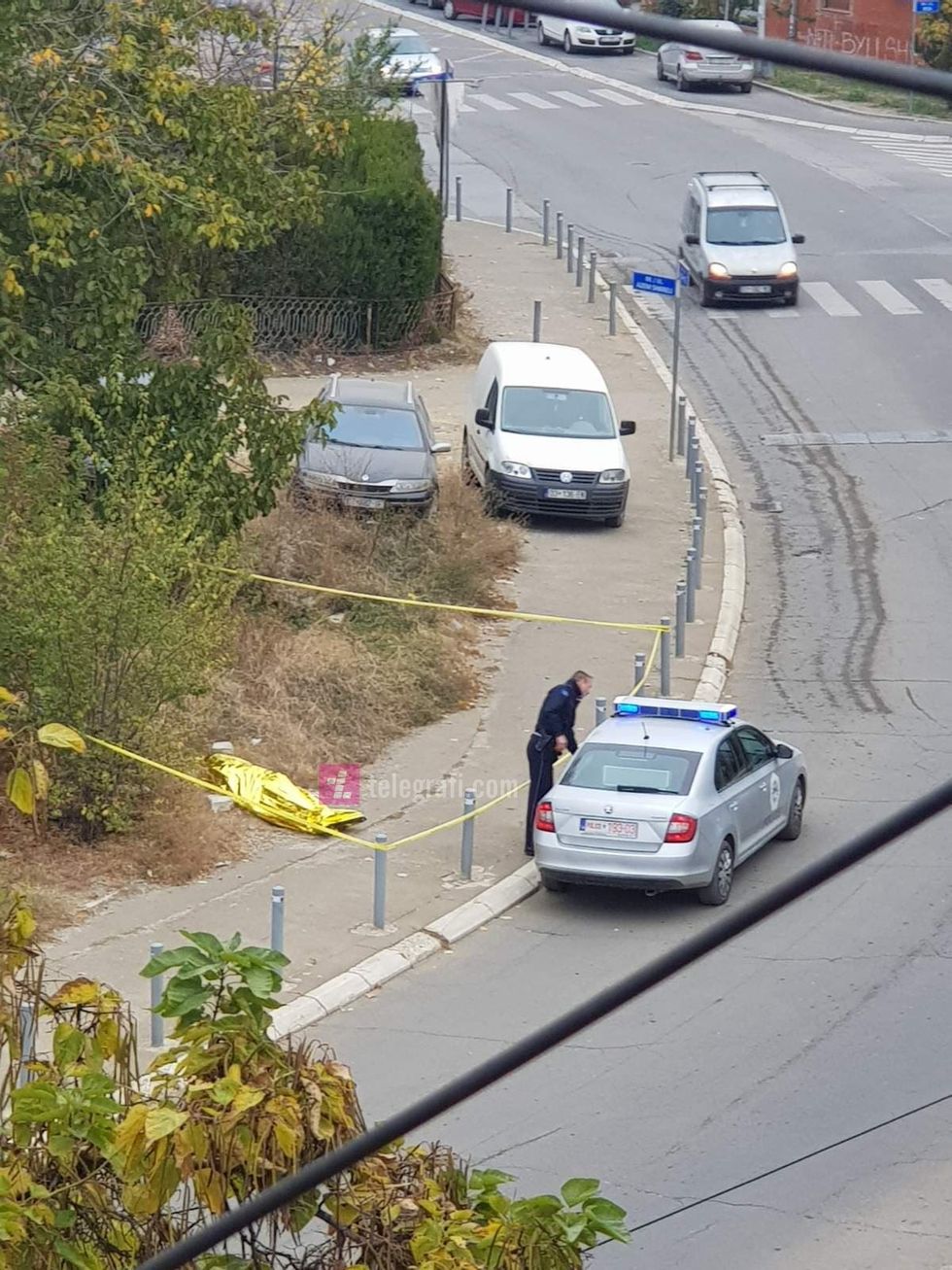 75252800 717923275394482 6172413881810419712 n