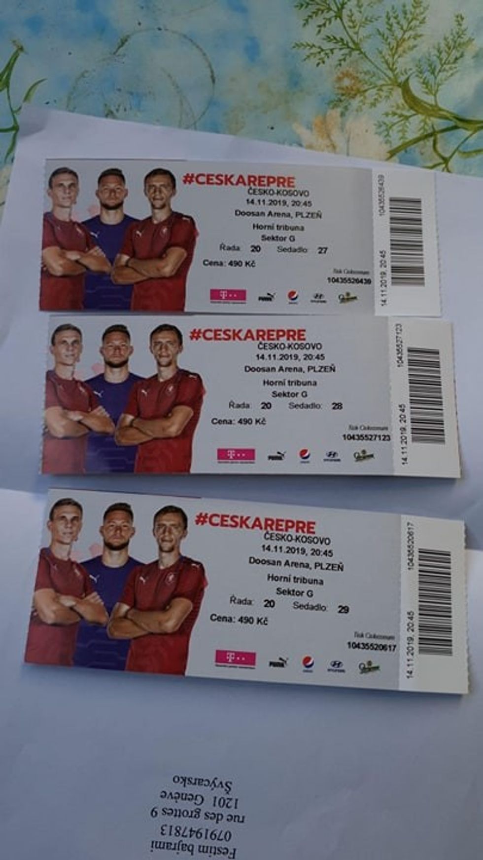 75317384 958821771158575 5555317138249482240 n