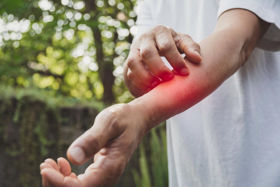 75846 profimedia 0426043110 orig