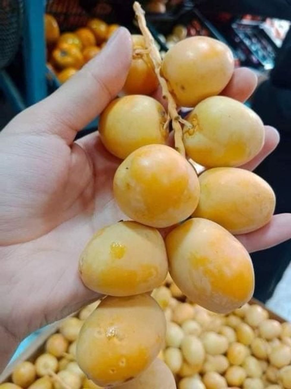 77134b1a 1cf8 465a 8980 7b124193d5c1