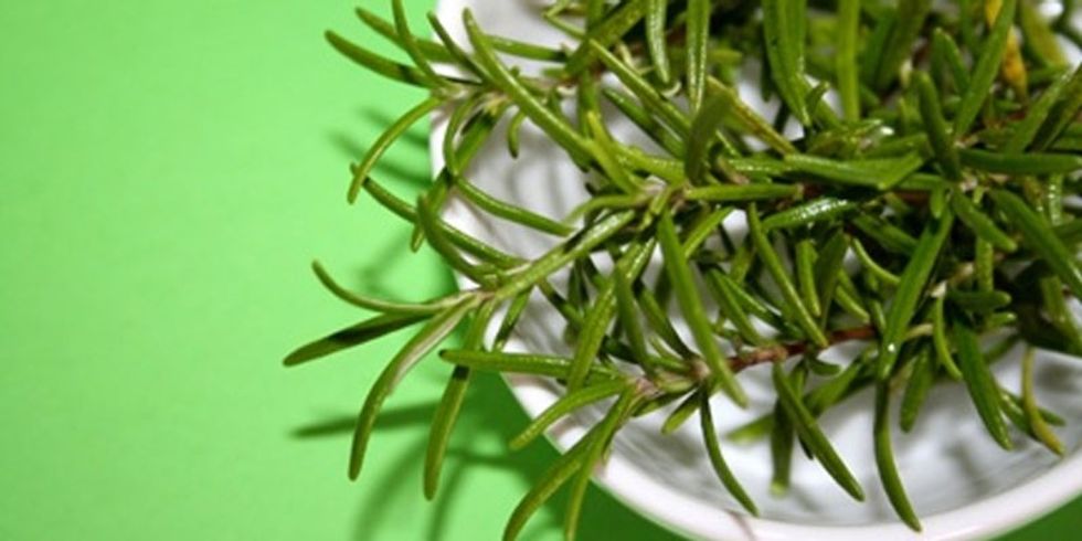 78118f94324ad28303683d0cbd005eb5b3