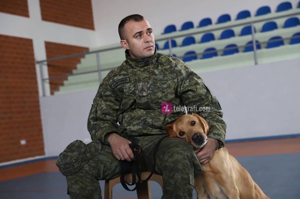 78318589 555513078577162 4470277162259185664 n 1