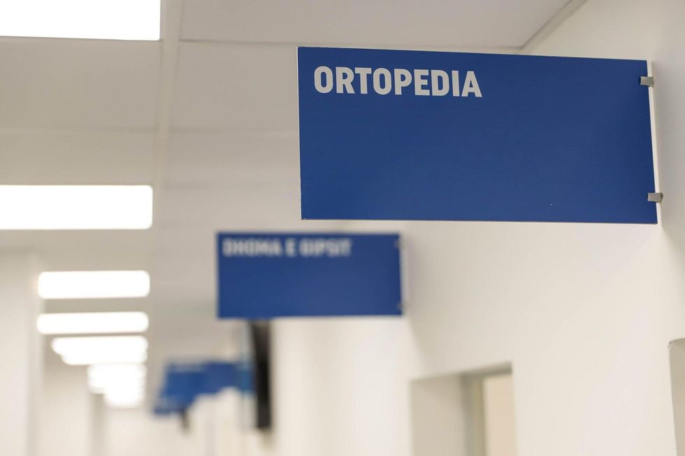 78499351 717939808695627 2302356286043324416 n