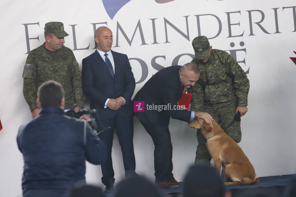 78846694 784278605328972 4111369427054755840 n 1