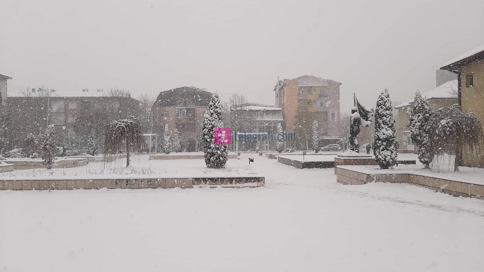 79108108 1589121201230737 7940071212225396736 n 1