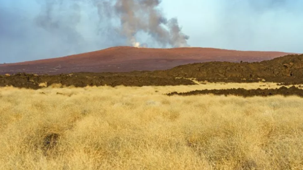 79828170 482276309087881 8397922255056666624 n