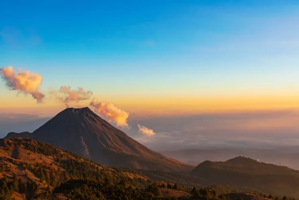 79881681 2432451710350204 7563128492733235200 n