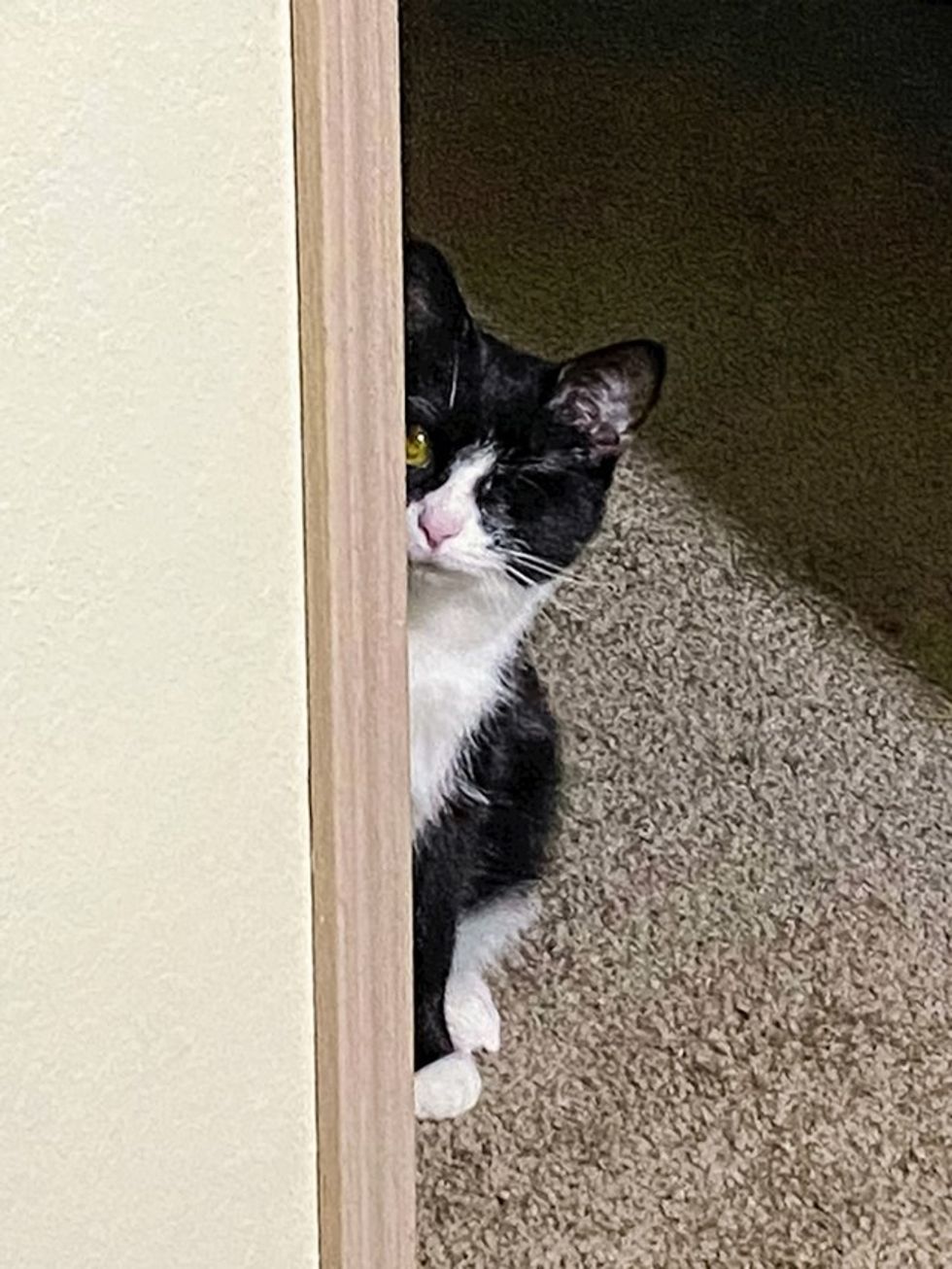 7a54c07e 5c2b 422a b572 6554b9a71ac3