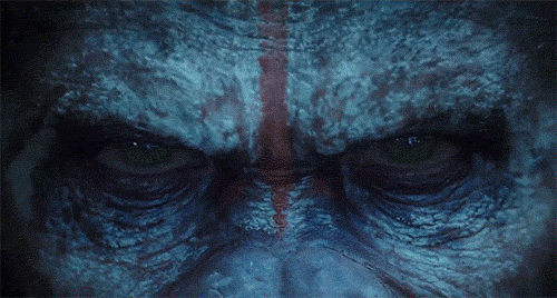 7box office 2014 dawn of the planet of the apes