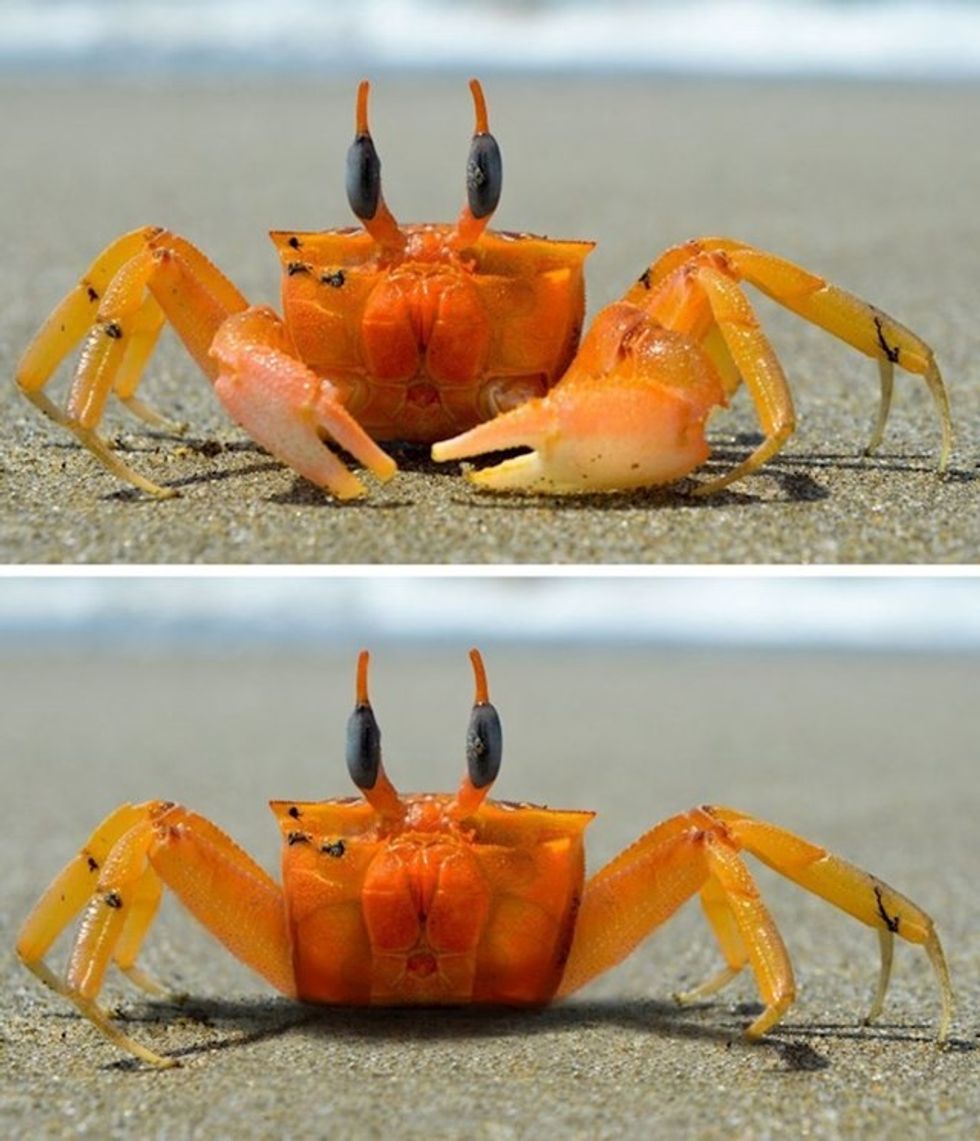 7c57be94 ea14 41f3 8b8d 5f6c8840a0c4