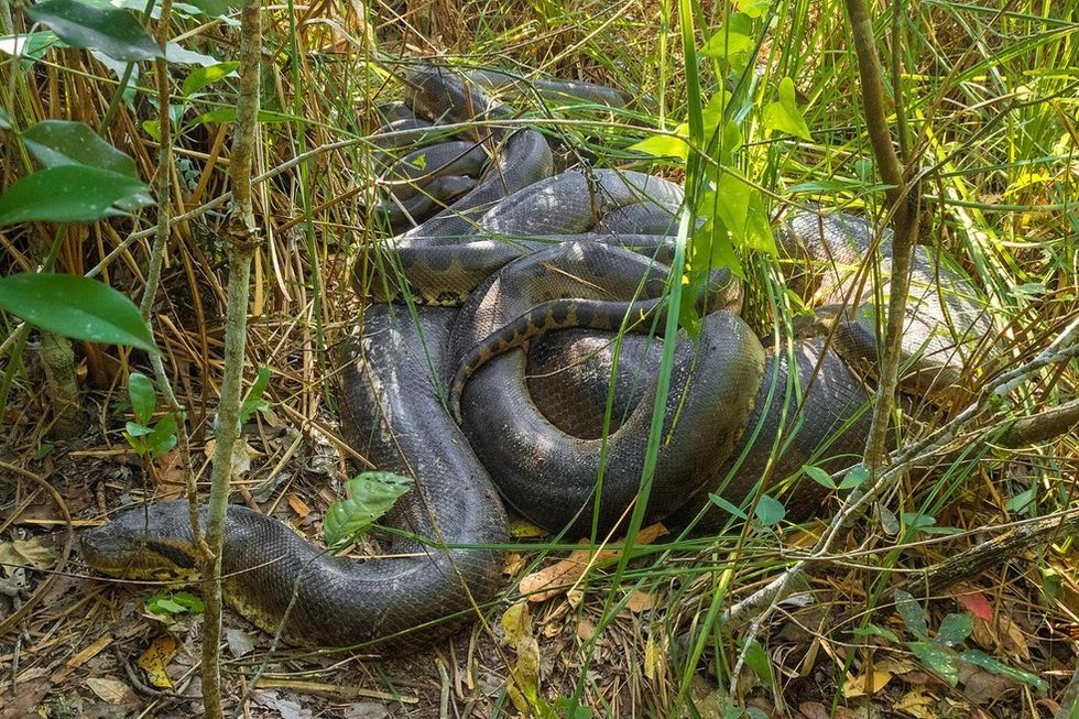 7e10ccb6 46bc 4ee3 b185 75576bfa0bab