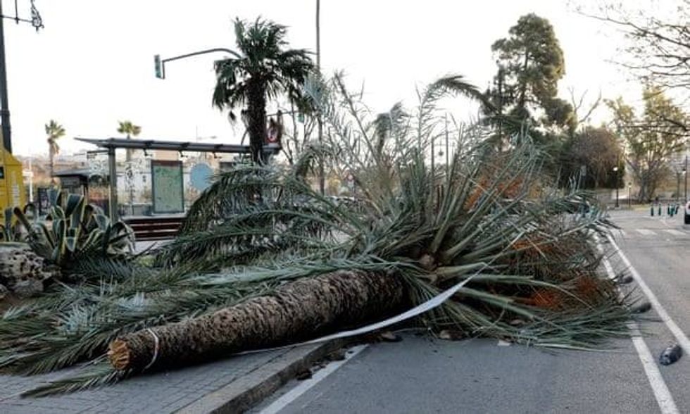 80515484 524313038433733 3543470713530744832 n