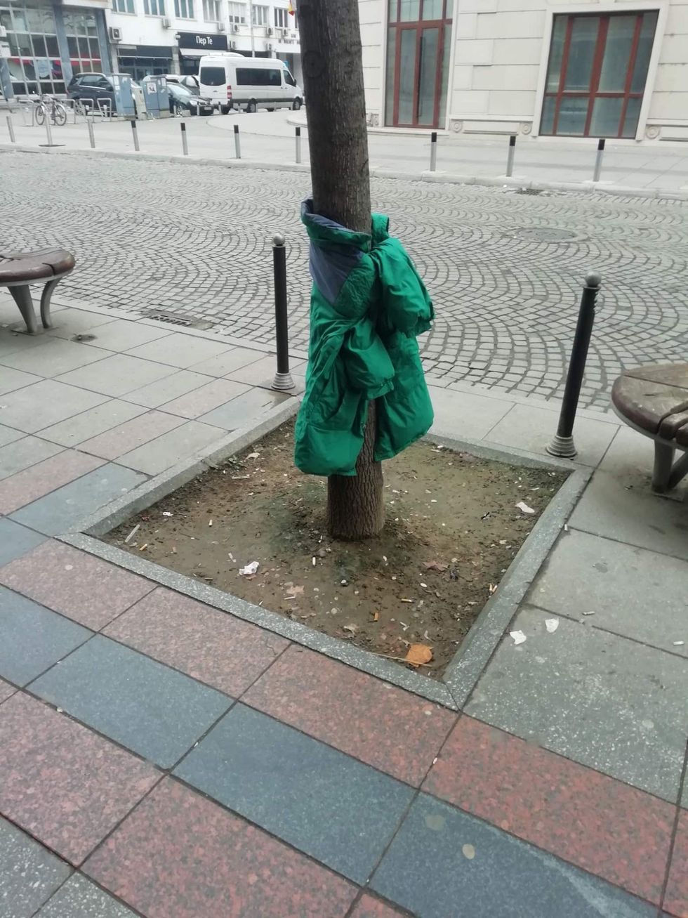 80766426 2334302606676300 7773577724118958080 n