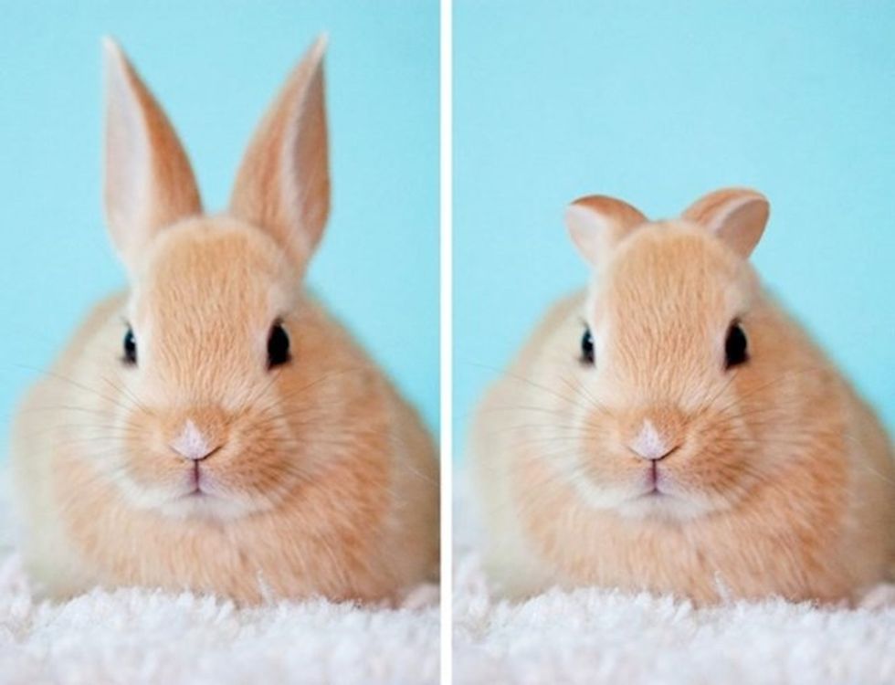 811f44ee a012 4b06 84d8 fcd778ab33fb