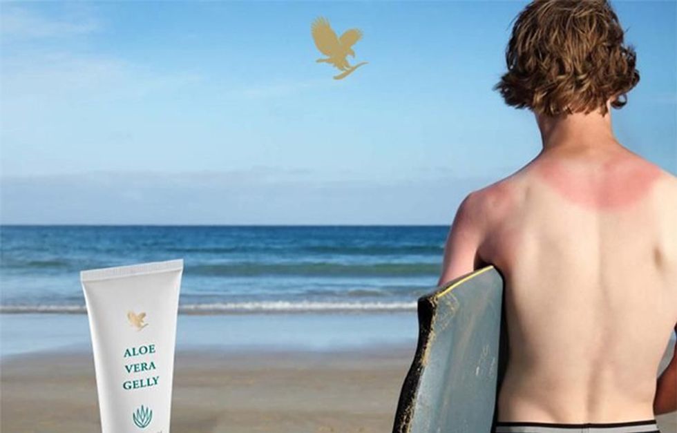 81280bca164b1be54284731e5f610351