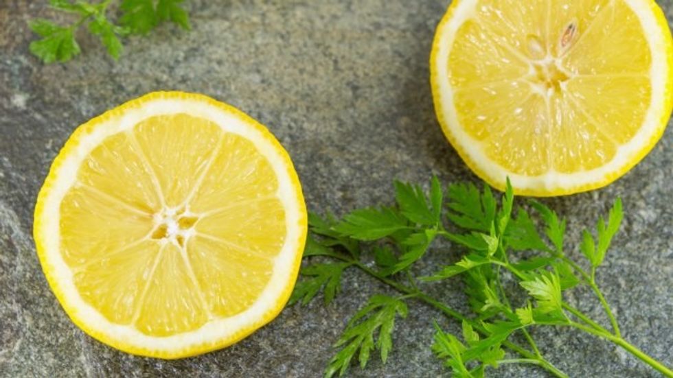 81333110759f20c211ab64090208427 x0018631